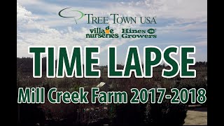 TreeTown USA Mill Creek Time Lapse [upl. by Ddet]