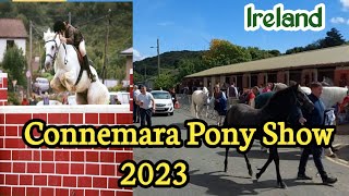 Connemara Pony Show 2023 [upl. by Noitsuj]