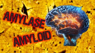 Amylase and Amyloid [upl. by Nairoc]