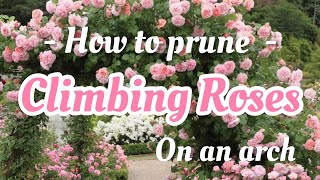 How to prune climbing roses on an arch  Tutorial  Garden Advice  Rose Garden  David Austin Roses [upl. by Delphina]