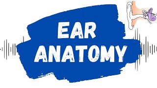 Learn How to Examine the Ear  Outer inner and middle ear [upl. by Alysa]