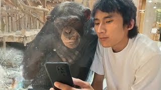 The Funniest Animals 2024 Monkeys Reacting to See Phone For The First Time [upl. by Luamaj592]