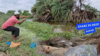 TRADITIONAL FLOAT FISHING For Catfish IN The Village quotSingle Hook float Fishing Techniques quot [upl. by Talyah]