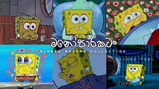 මනෝපාරට Sinhala song  Slowed Reverb Song collection sinhala  Alone slowedandreverb [upl. by Eugen898]