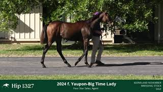 2024 f by Yaupon oo Big Time Lady [upl. by Brabazon169]