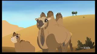 Wild Kratts Backpack The Camel  Exploring The Gobi Desert With The Amphitreck [upl. by Aivalf]