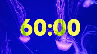 60 Minute Beautiful Jellyfish Timer with Soothing Music [upl. by Starks]