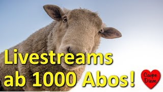 ❤️ LIVESTREAMS nur noch ab 1000 Abos 05April 2019 [upl. by Eojyllib]