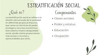 sistema de enseñanza y estratificación social [upl. by Lesoj66]