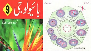 Mitosis Cell Division  Mitosis Phases in Urdu  Mitosis Class 9 Chapter 5 Biology Urdu [upl. by Crain]