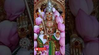 Velmuruga arogara⚜️🦚devotional murugansongs shortsfeed murugandevotional devotionalsongs [upl. by Scharaga]