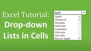 How to Create Drop Down Lists in Cells  The Complete Excel Guide [upl. by Colt]