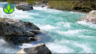 BRUIT de la rivière qui coule pour dormir  relaxation méditation sommeil  ASMR [upl. by Narda]