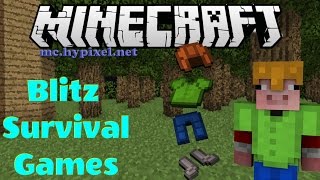 Armorer 10 gameplay  Blitz Survival Games [upl. by Eruza563]