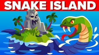 Most Dangerous Place on Earth  Snake Island [upl. by Talbert616]