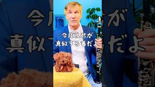 【CLARINET vs BEAR】 ついにクラリネット奏者がクマちゃんを真似することに…clarinet fannyvideo 吹奏楽 [upl. by Estevan]