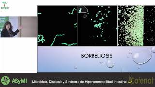 Biofilms patógenos El ejercito bacteriano  Mar Alonso [upl. by Annaoi473]