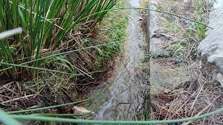 ¡¡ Espectacular  Caminito de la Acequia Canillas de Aceituno [upl. by Rugg]