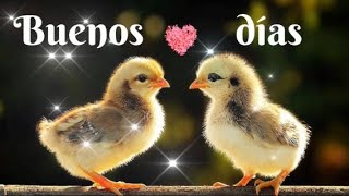 Buenos días🌞Que tu día esté lleno de bendiciones💝Video corto y bonito🌹Ten una gran día🍀 [upl. by Llohcin]