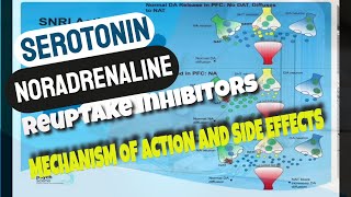 Serotonin Noradrenaline Reuptake Inhibitors  SNRIs  Mechanism of Action and Side effects [upl. by Ariamoy533]