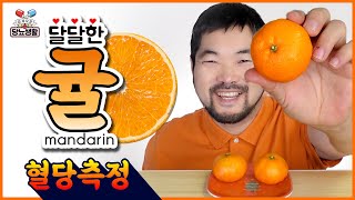 당뇨환자가 먹어본 신 귤과 단 귤🍊의 혈당차이는  10분단위 혈당실험 [upl. by Notlim728]