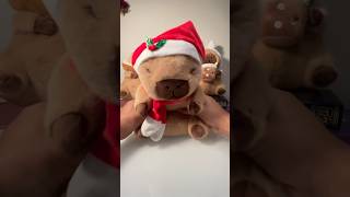 Website CapyPlushStore  25 Off Deal  Don’t miss out christmas merrychristmas capybara [upl. by Eniamsaj]