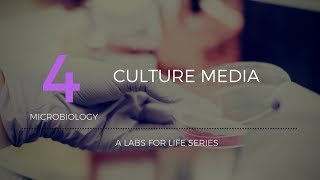 Culture Media [upl. by Teillo]