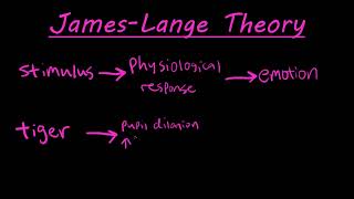 SchachterSinger Cognitive arousal theory  Cognitive arousal theory  in English by Dear Knowledge [upl. by Hoashis268]