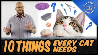 Everything You Need for Your Cat  10 Cat Essentials for New Guardians [upl. by Eeryk]