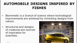 Boxfish Automobile Design Inspired by Fishes boxfish automobile design inspired fishes [upl. by Tnattirb786]