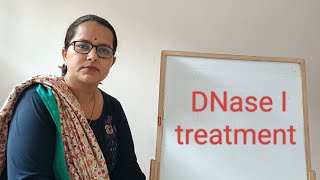 DNase I treatment to RNA  Removal of DNA  DNase treatment protocol [upl. by Beedon554]