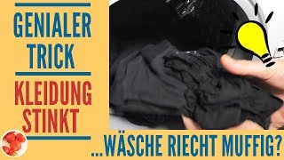 Genialer Trick Kleidung stinkt und Wäsche riecht muffig nach dem Waschen Diese Tipps helfen [upl. by Yorle151]