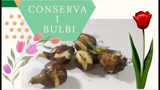 BULBI🌱Come conservarli [upl. by Rap]