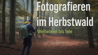 Fotografieren im Herbstwald Nebelbilder mit Weitwinkel und Teleobjektiv [upl. by Whittaker654]