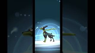 Evolving Zygarde in Pokémon Go  pokemongo  shorts [upl. by Pond655]