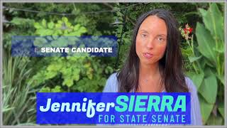 Jennifer Sierra for State Senate in Kentucky District 23 [upl. by Dusen770]