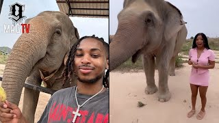 DDG amp quotGFquot Halle Bailey Feed The Elephants In Thailand 🐘 [upl. by Gilbye]