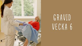 Gravid vecka 6 [upl. by Habas683]