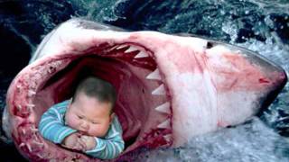 MUST WATCH  The Megalodon Shark Eats a Child [upl. by Ahselef]