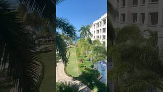 Hyatt Zilara Jamaica Adults Only Suite review [upl. by Nuy500]