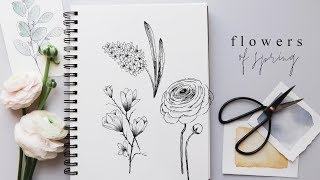 How to Draw Flowers  Step By Step Hyacinth Magnolia and Ranunculus [upl. by Ghassan]