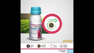 Syngenta  Incipio Plinazolin technology [upl. by Ahab]