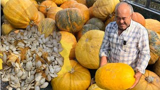 Dnevno izvadim 20 kilograma sjemenki a godišnje prodam preko 300 kg to mi je penzija i moj biznis [upl. by Nnasor]