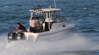 Robalo 2440 Walkaround [upl. by Weidman634]