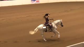 2019 Quarter Horse Congress Freestyle Reining Steve Kutie on Ichibon DMF [upl. by Retsevlis386]