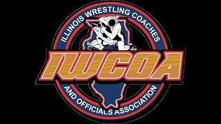 Don Stumpf 2017 IWCOA HOF Banquet Interview [upl. by Enayr996]