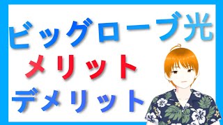 【4万円還元】ビッグローブ光とは！？キャンペーンは？ [upl. by Asa]