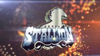 Grupo Stallion Presentation [upl. by Hemetaf]