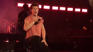 Particular Taste  Shawn Mendes Live Jakarta Indonesia 2019 [upl. by Atinob]