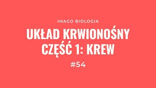 Układ krwionośny Krew [upl. by Ailhat]